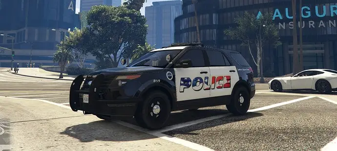 Preview of Patriotic Police Car