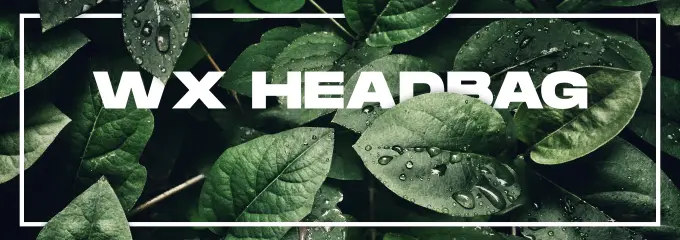 Preview of [FREE] [OX] WX Headbag - Put bag on other player's head so he can't see