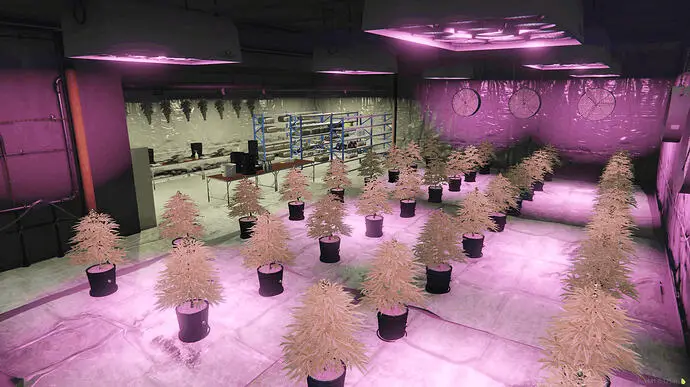 Preview of [MLO] Weed Farm [FREE]