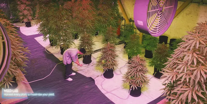 Preview of [FREE] Orbit Weed - Complete Weed Growing, Processing & Smoking System for FiveM