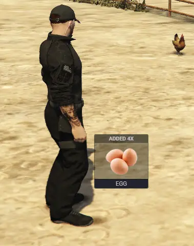 Preview of [FREE] Chicken Harvest Script (ox_lib / ox_inventory)