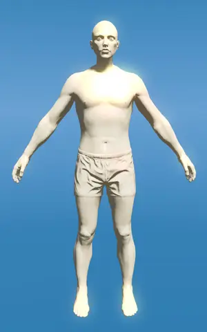 Preview of MP Male and MP Female PED