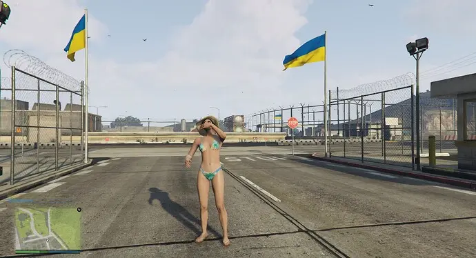 Preview of Ukraine Flag [SP / FiveM]