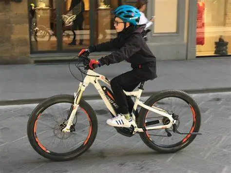 Preview of [Free] FRP-QB-Bike rental
